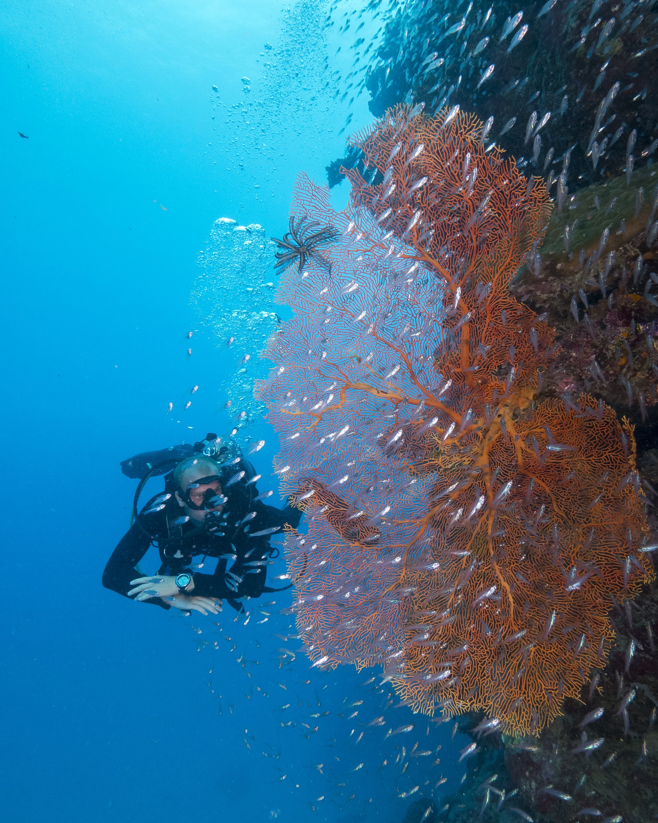 14.P2020737.jpg