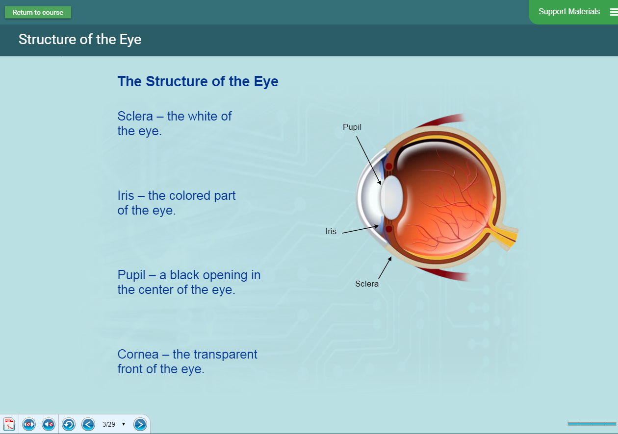 Biology Software - Human Eye Presentation