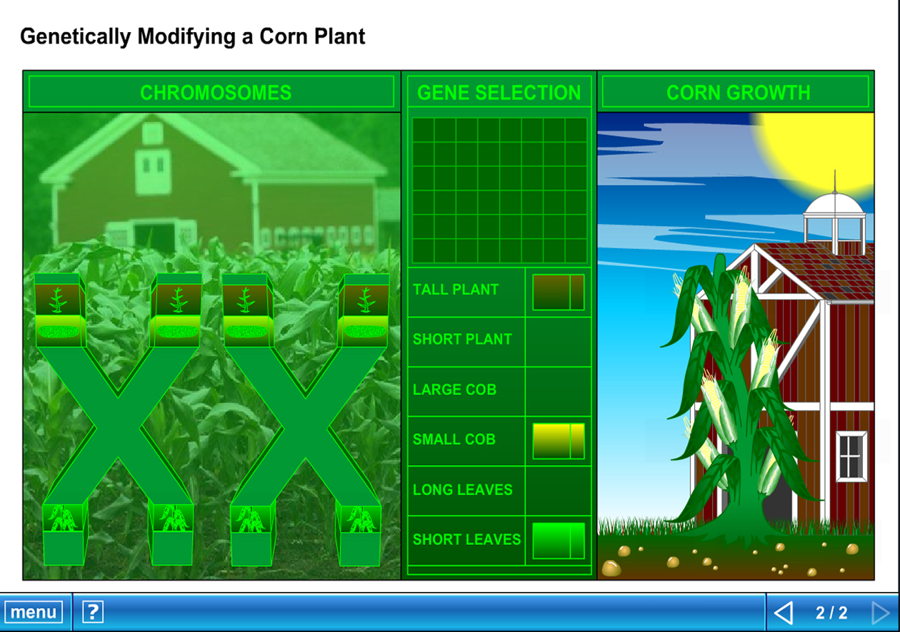 Biology Lesson - Modifying Genes