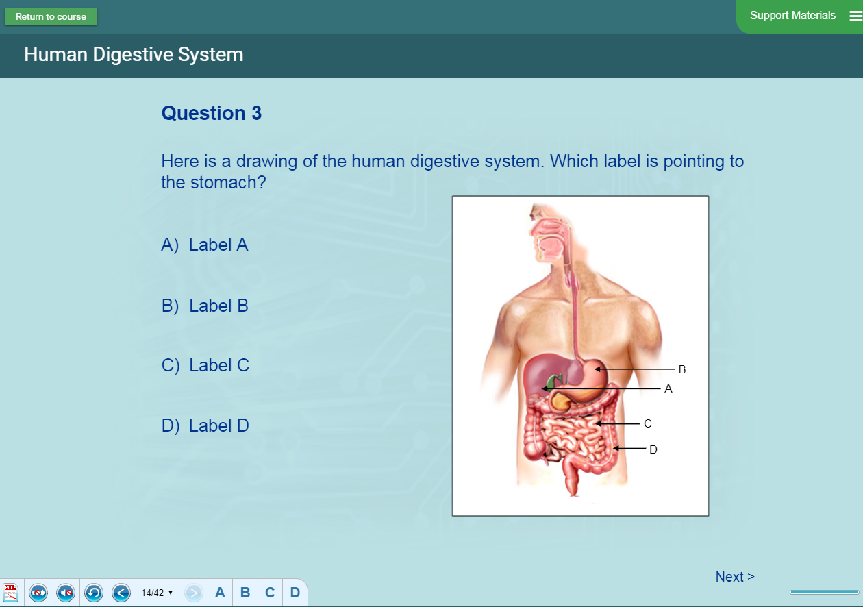 Biology Software - Human Body Presentation