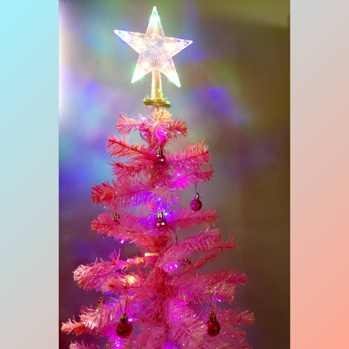 Petunia the Christmas tree is looking sparkly in the studio
.
.
.
#Christmas #christmastree #pinktree #pink #dancestudio #christmaslights