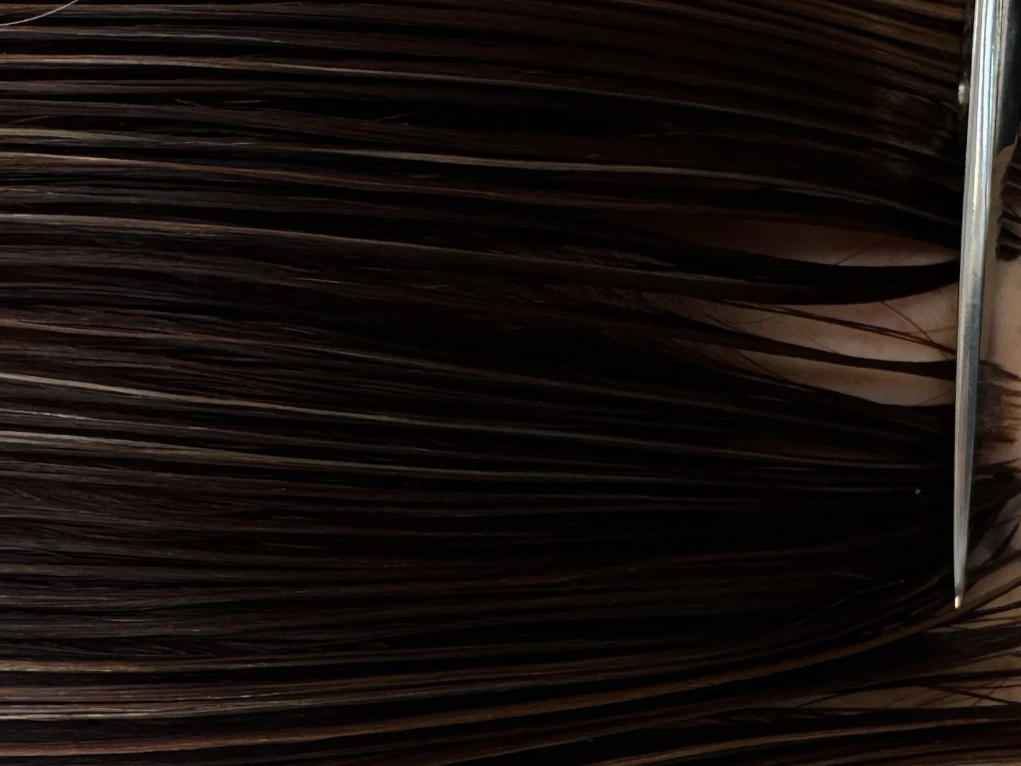 Starting the week off with good hair care intentions by booking that trim in ✨

Now depending on your hair goals, we don&rsquo;t suggest a trim/cut every 6 weeks for everyone. Our hair and goals are all different so don&rsquo;t all listen to the same