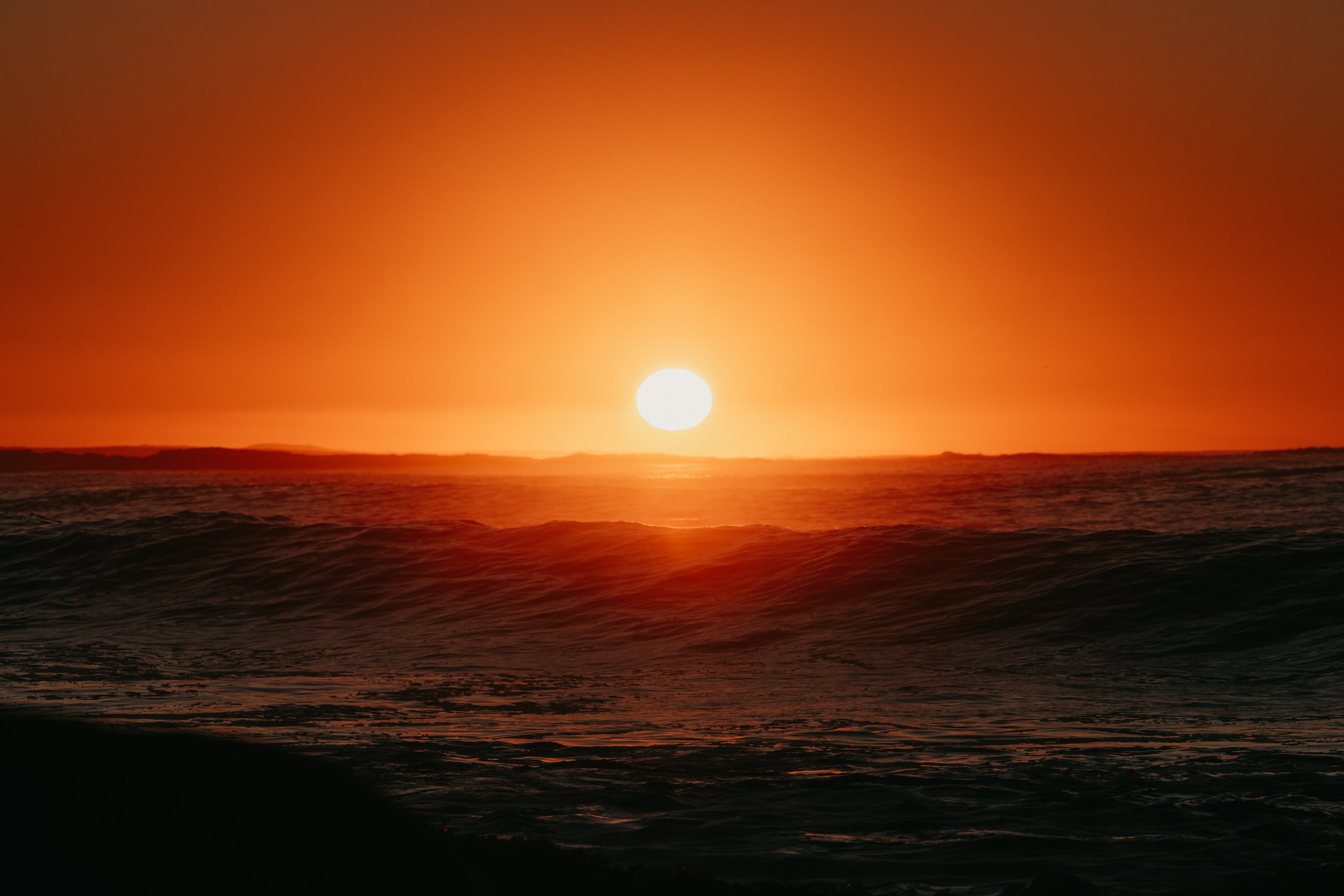6T2A9819-Enhanced-SR-2.jpg