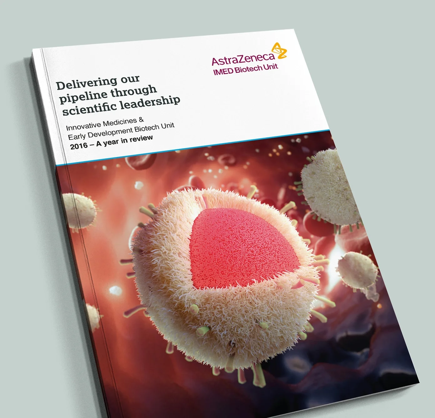 AstraZeneca IMED Annual Review