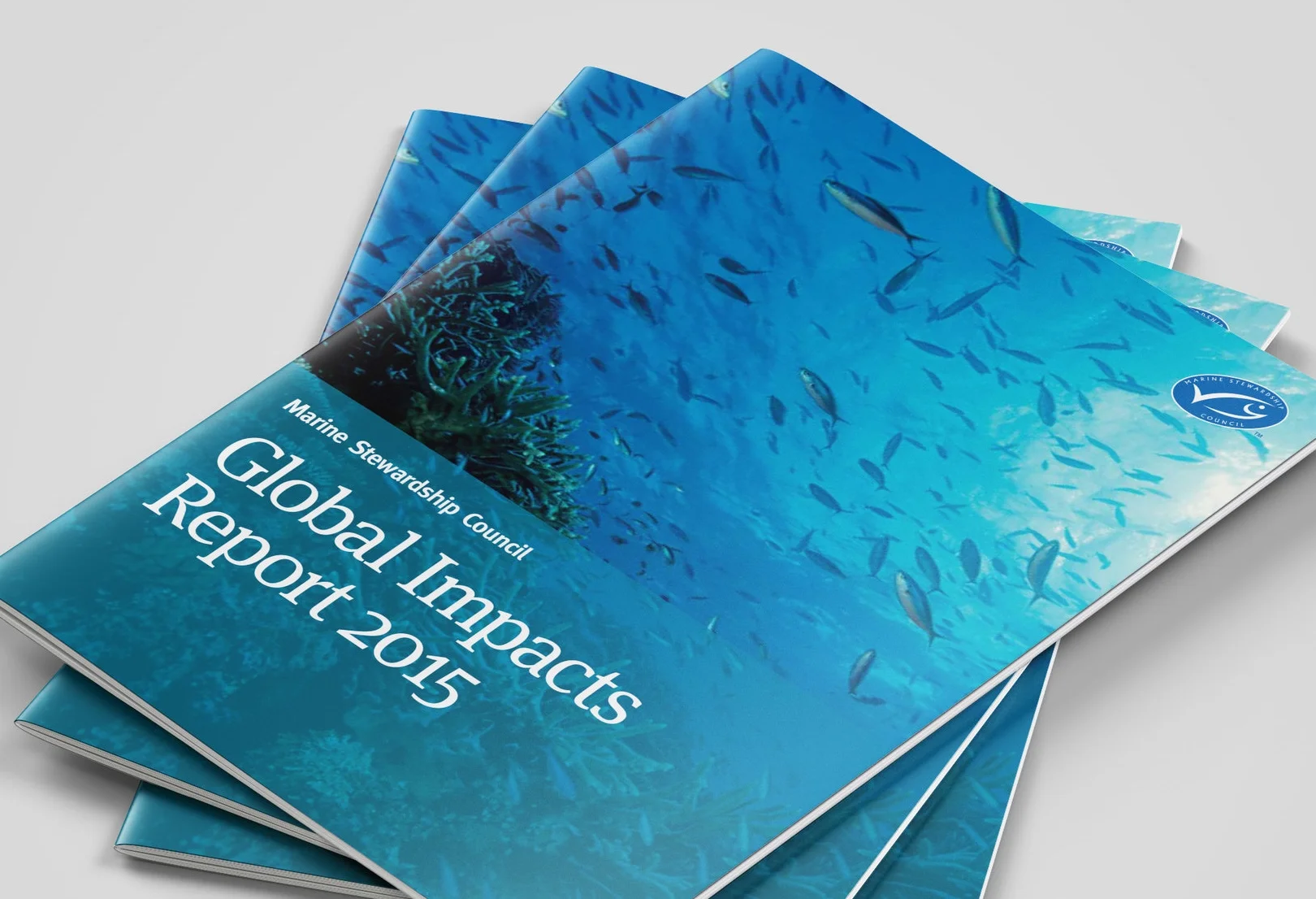 A4_Brochure_Mockup_2.jpg