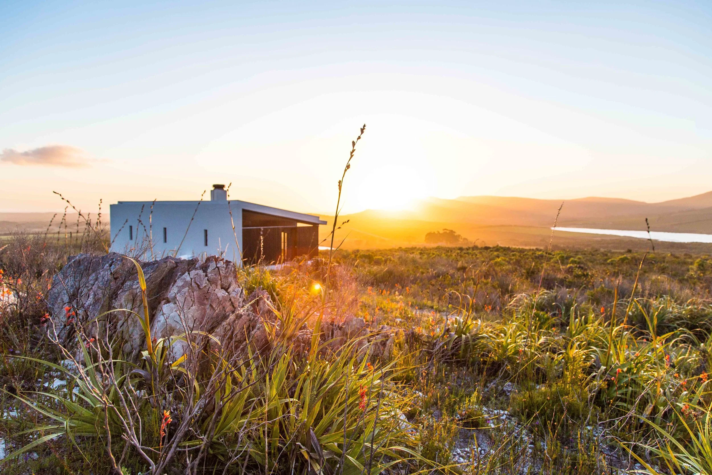 farm-215-hermanus-western-cape-tyson-jopson-1.jpg