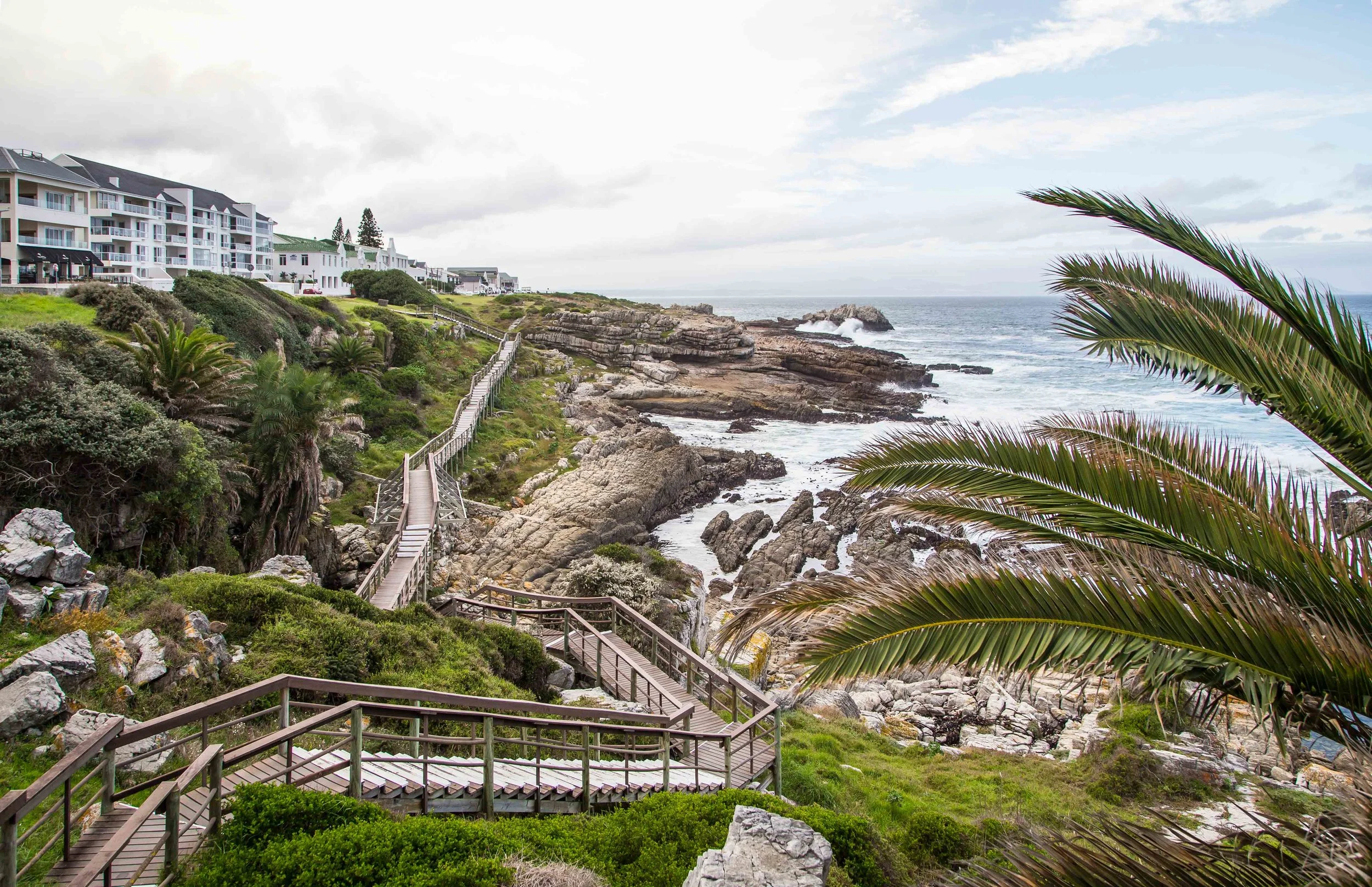 hermanus-western-cape-tyson-jopson-1.jpg