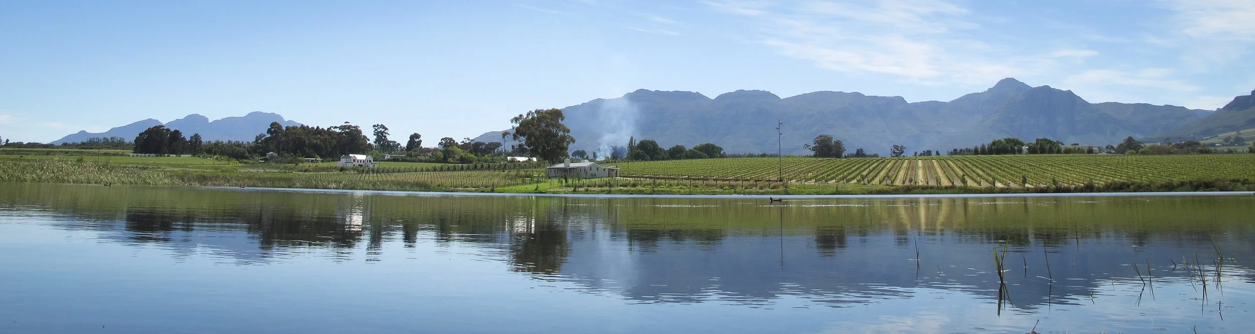 klein-welmoed-stellenbosch-tyson-jopson.jpg