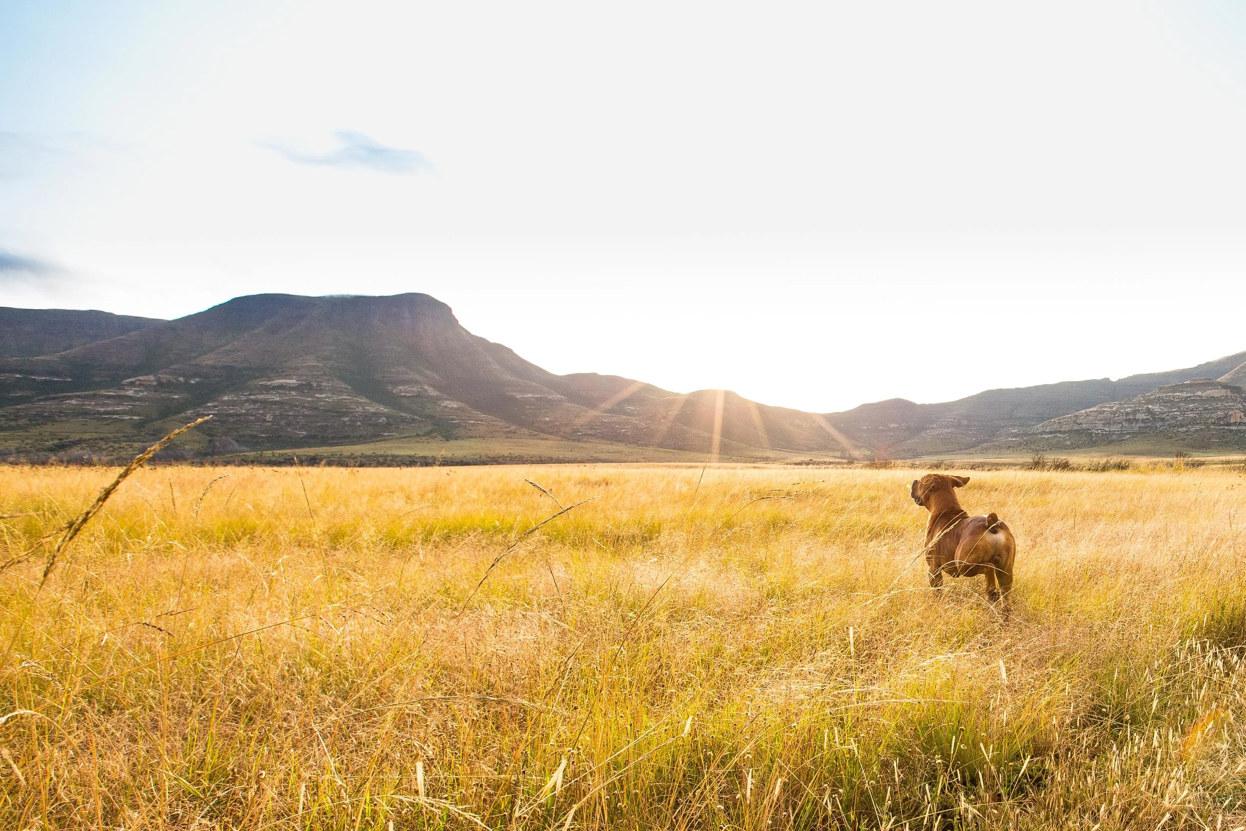 moolmanshoek-free-state-tyson-jopson-1.jpg