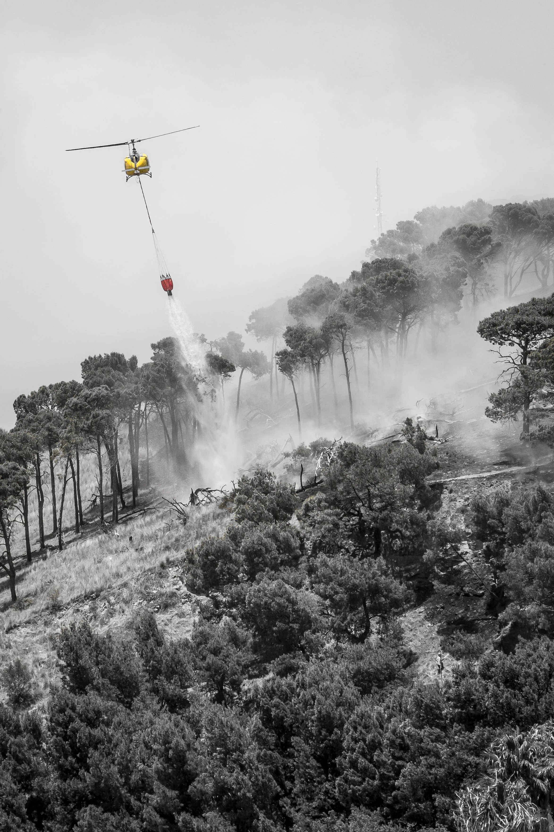 wildfire-cape-town-tyson-jopson-1.jpg