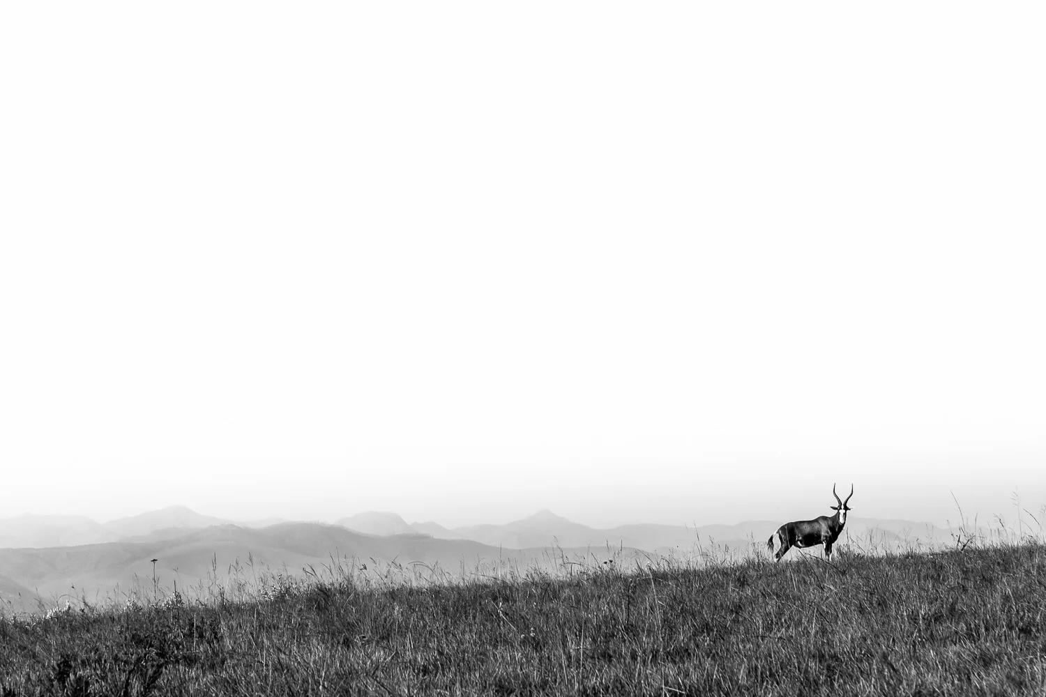 swaziland-tyson-jopson-11.jpg
