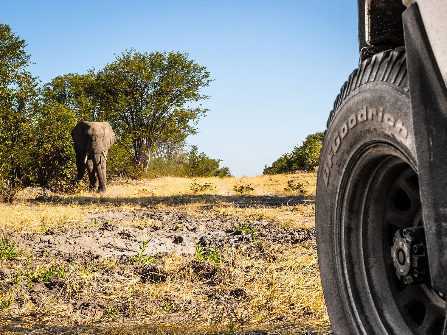 bfgoodrich-5.jpg