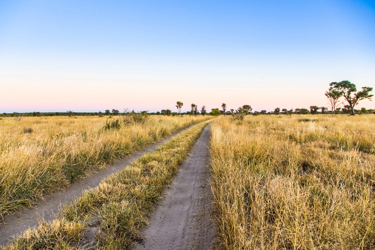 botswana-7.jpg