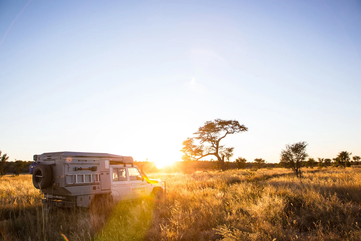 botswana-9.jpg