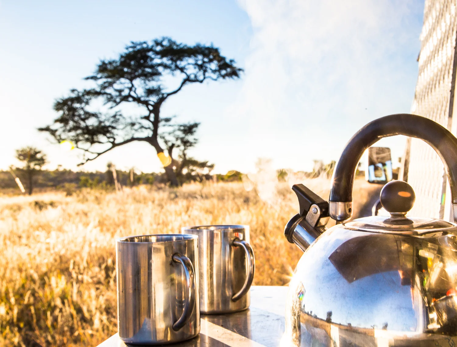 botswana-10.jpg