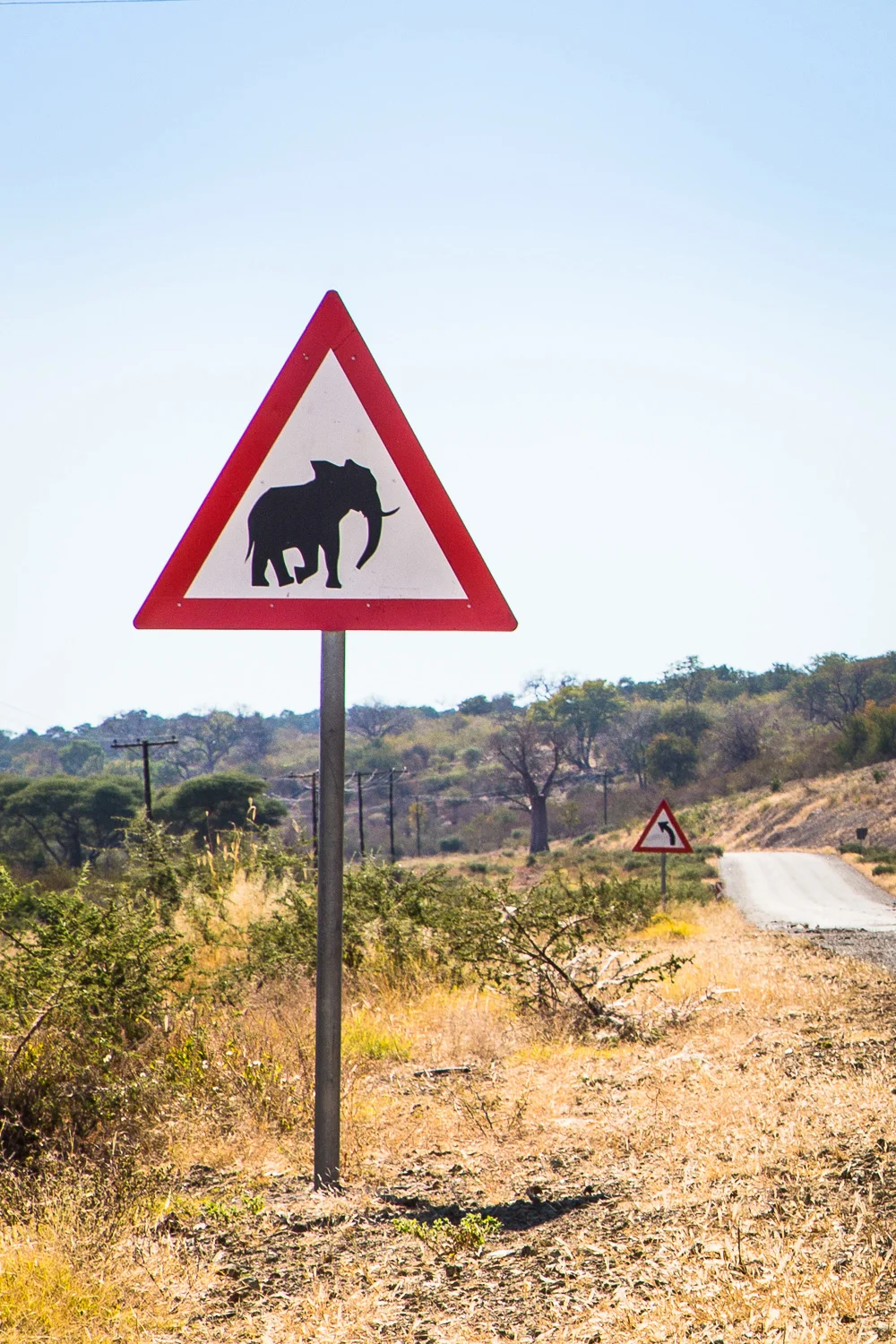 botswana-23.jpg