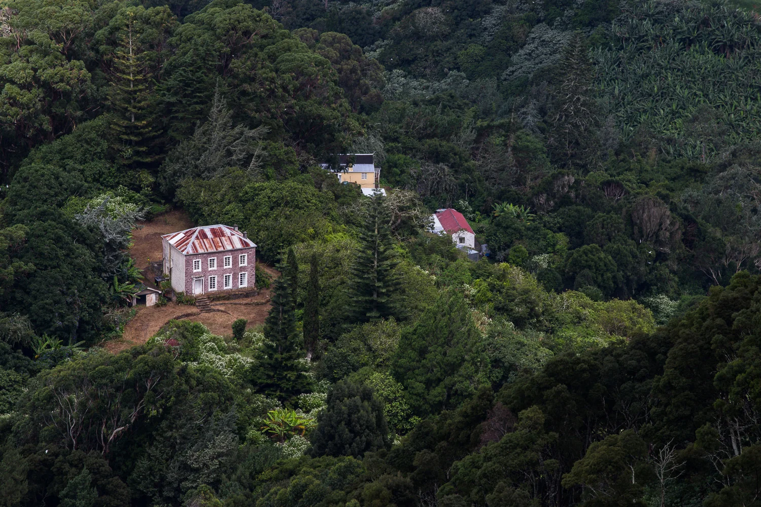 st-helena-20.jpg