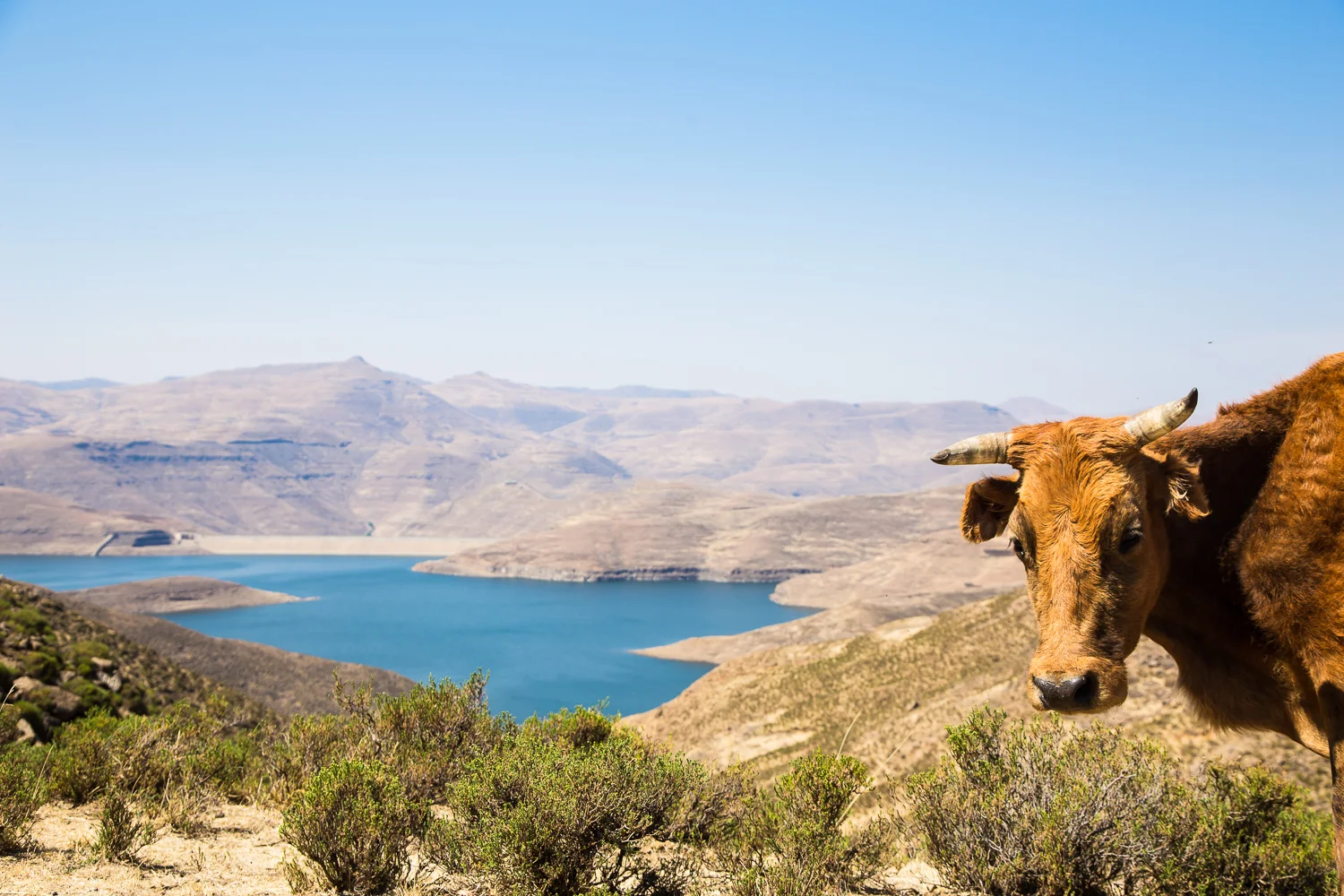 mohale-dam-tyson-jopson-1.jpg