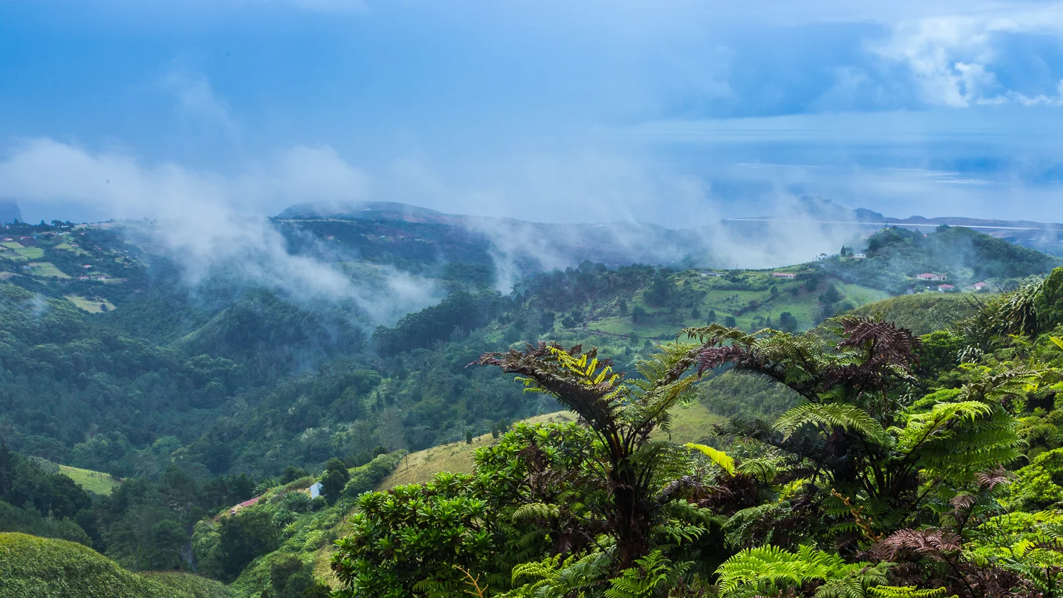 st-helena-tyson-jopson-3.jpg