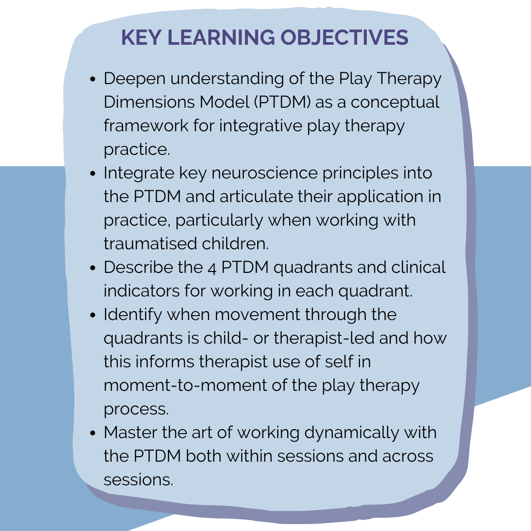Child Therapy Masterclass Integrative Play Therapy Mastering the art of the Play Therapy