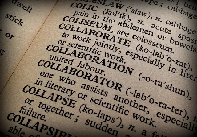 synonyme-seo-texte-schreiben-loewen-text.jpg