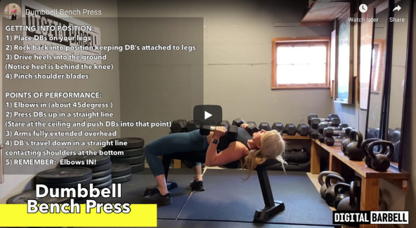 Screen Shot 2020-05-08 at 9.55.44 AM.png