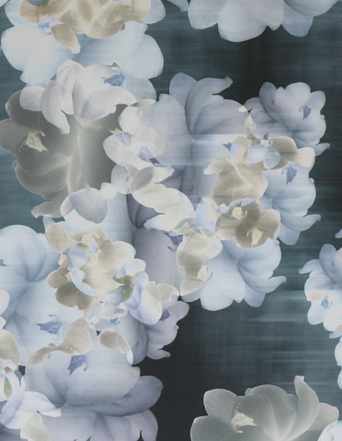 Trove’s Alycone. A modern way of making wallpaper. All digitally printed.