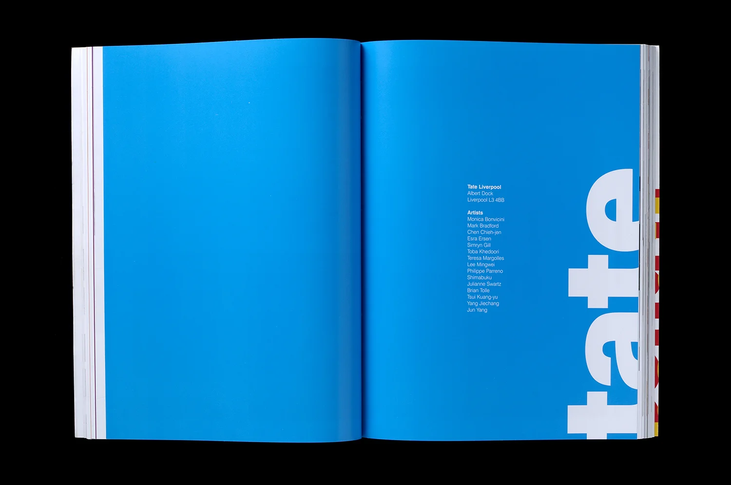 LiverpoolBiennial_12.jpg