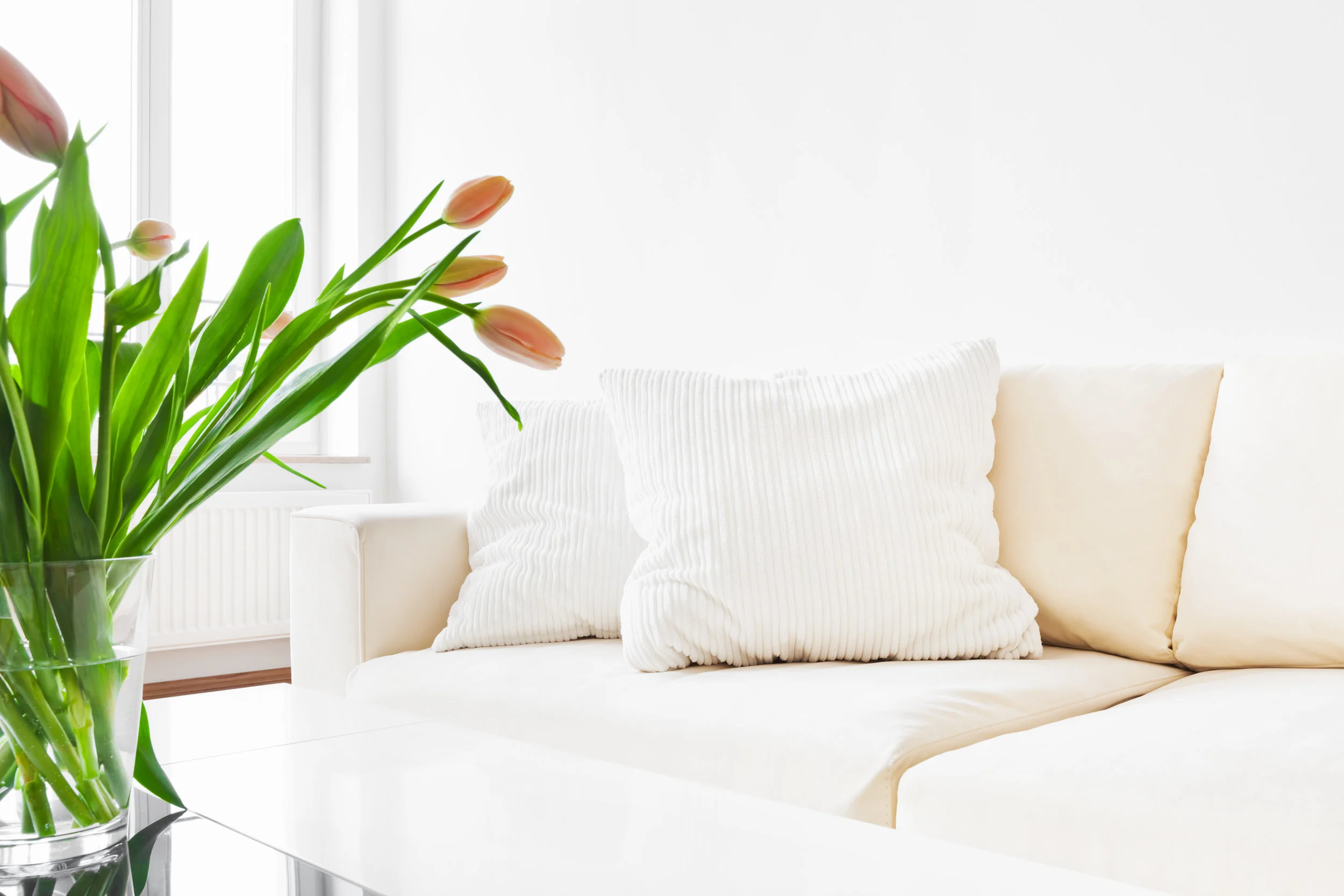 White Couch .jpg