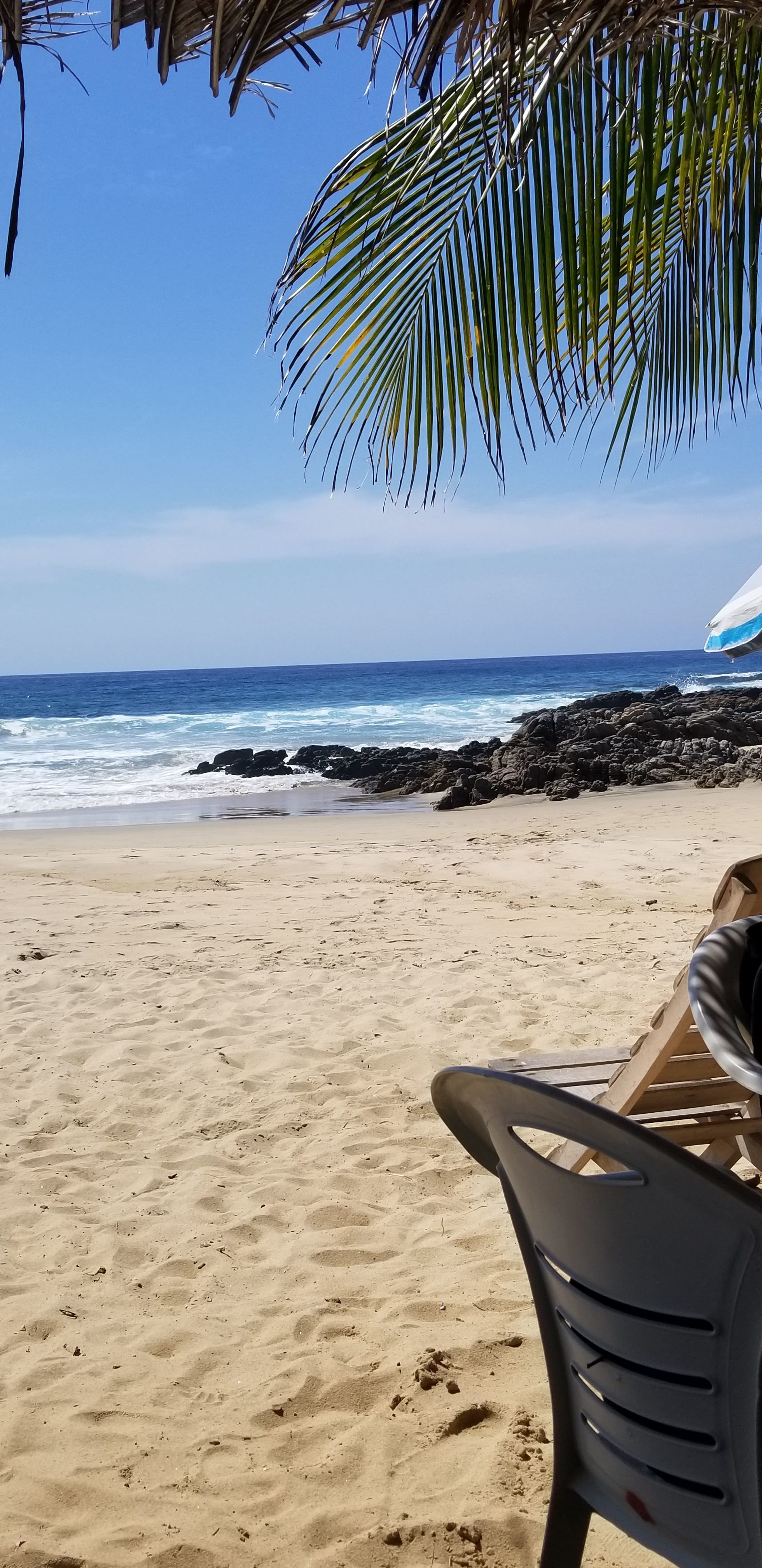 20190328_102616.jpg
