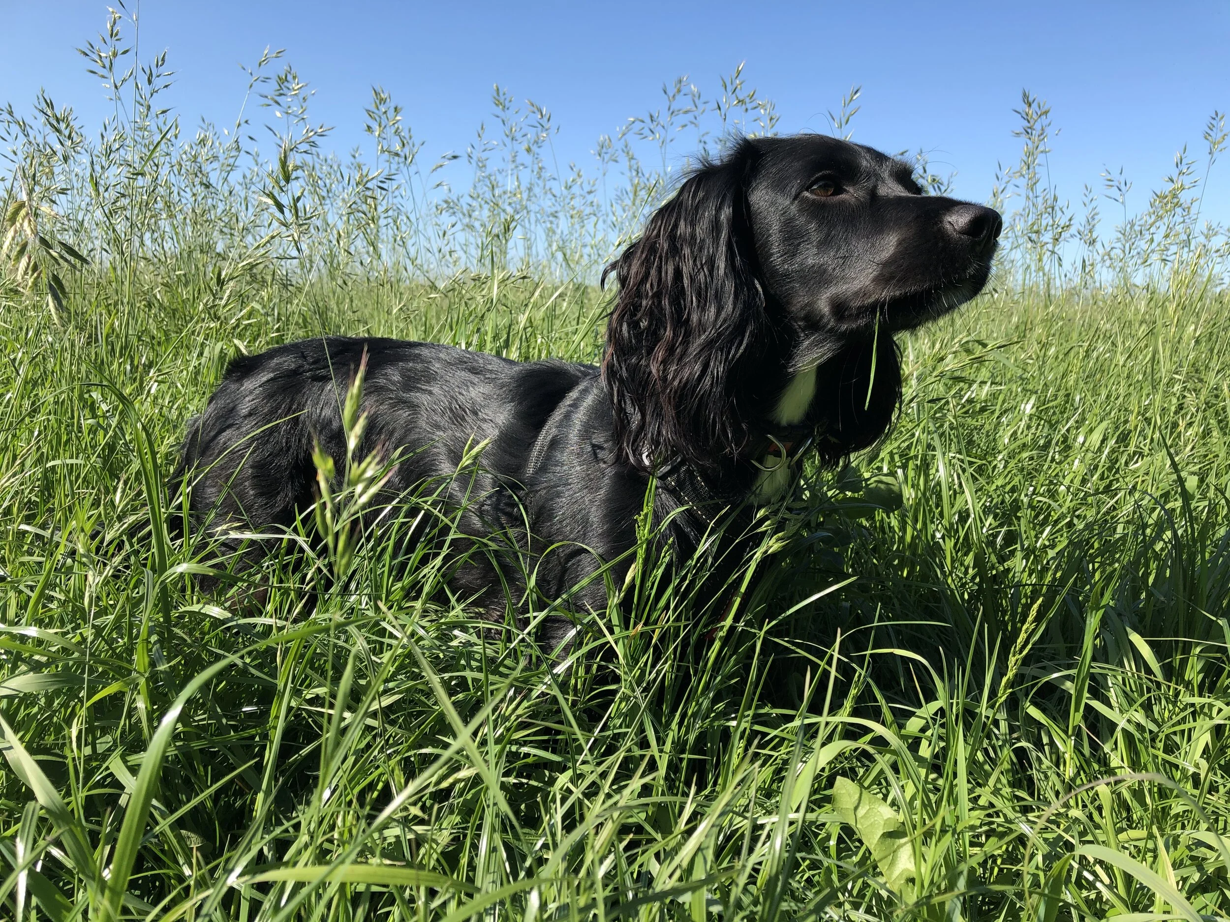 Who are you nuturing?