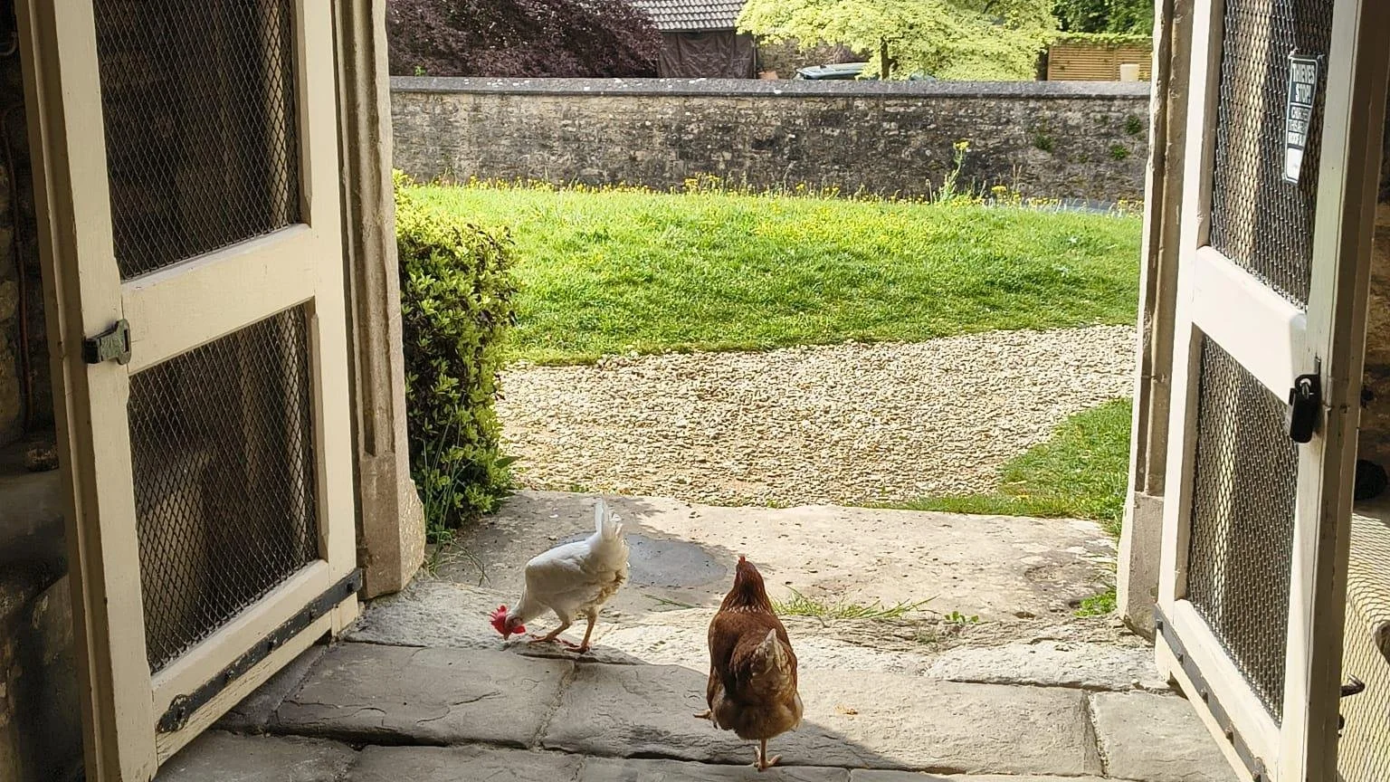Last Sunday's special guests