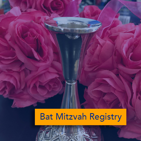 Bat mitzvah registry.jpg