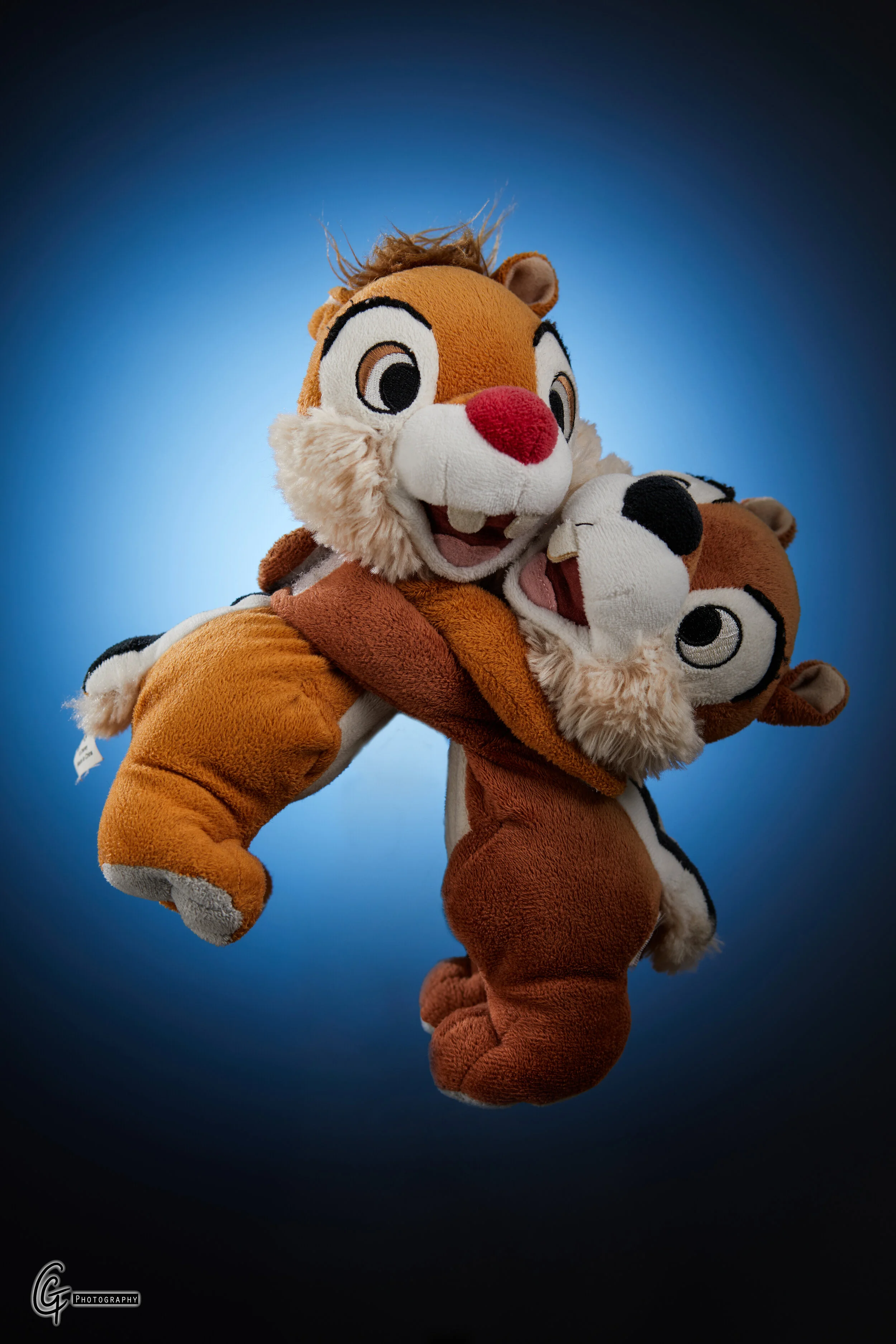 Chip n Dale.jpg