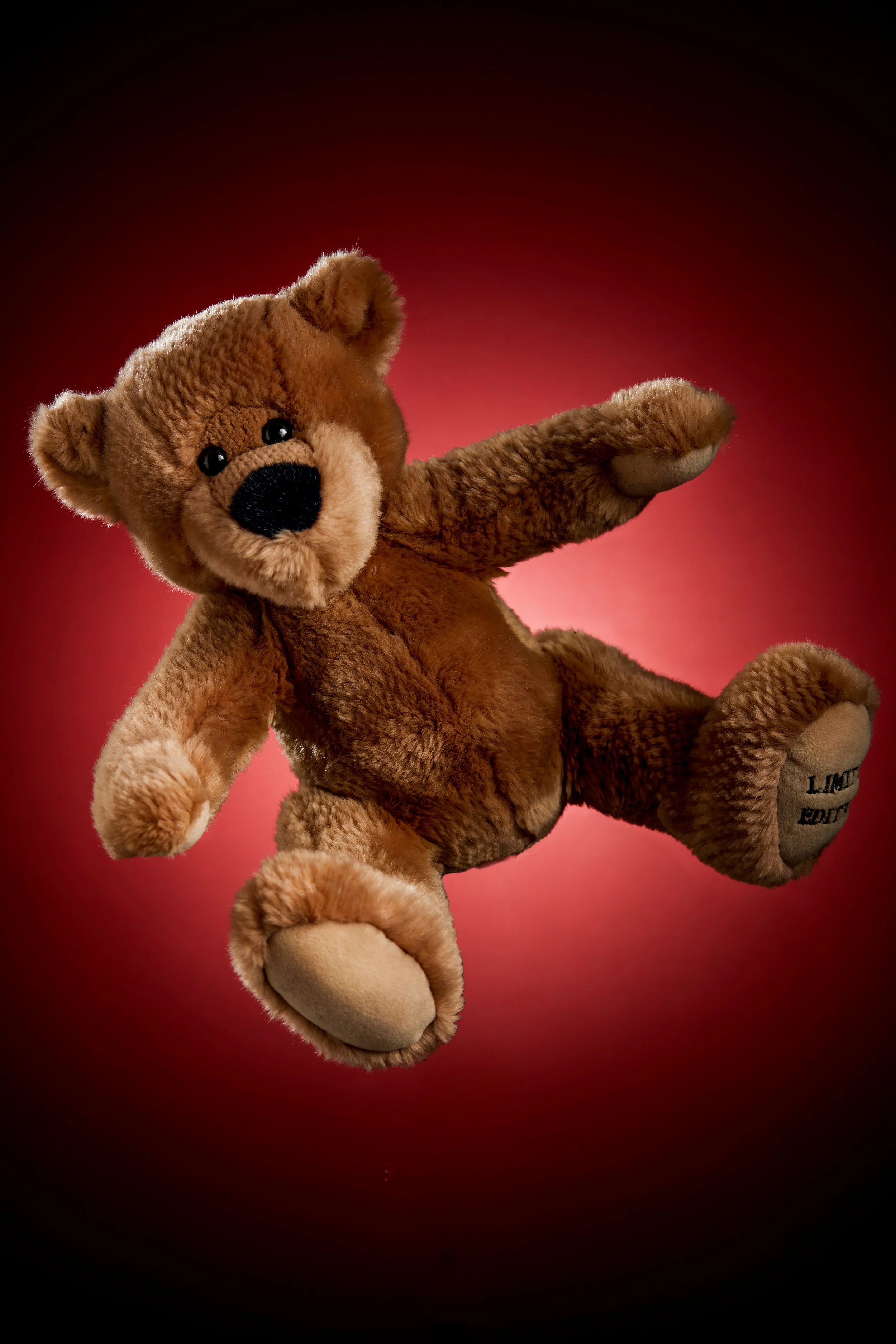 Teddy Bear.jpg