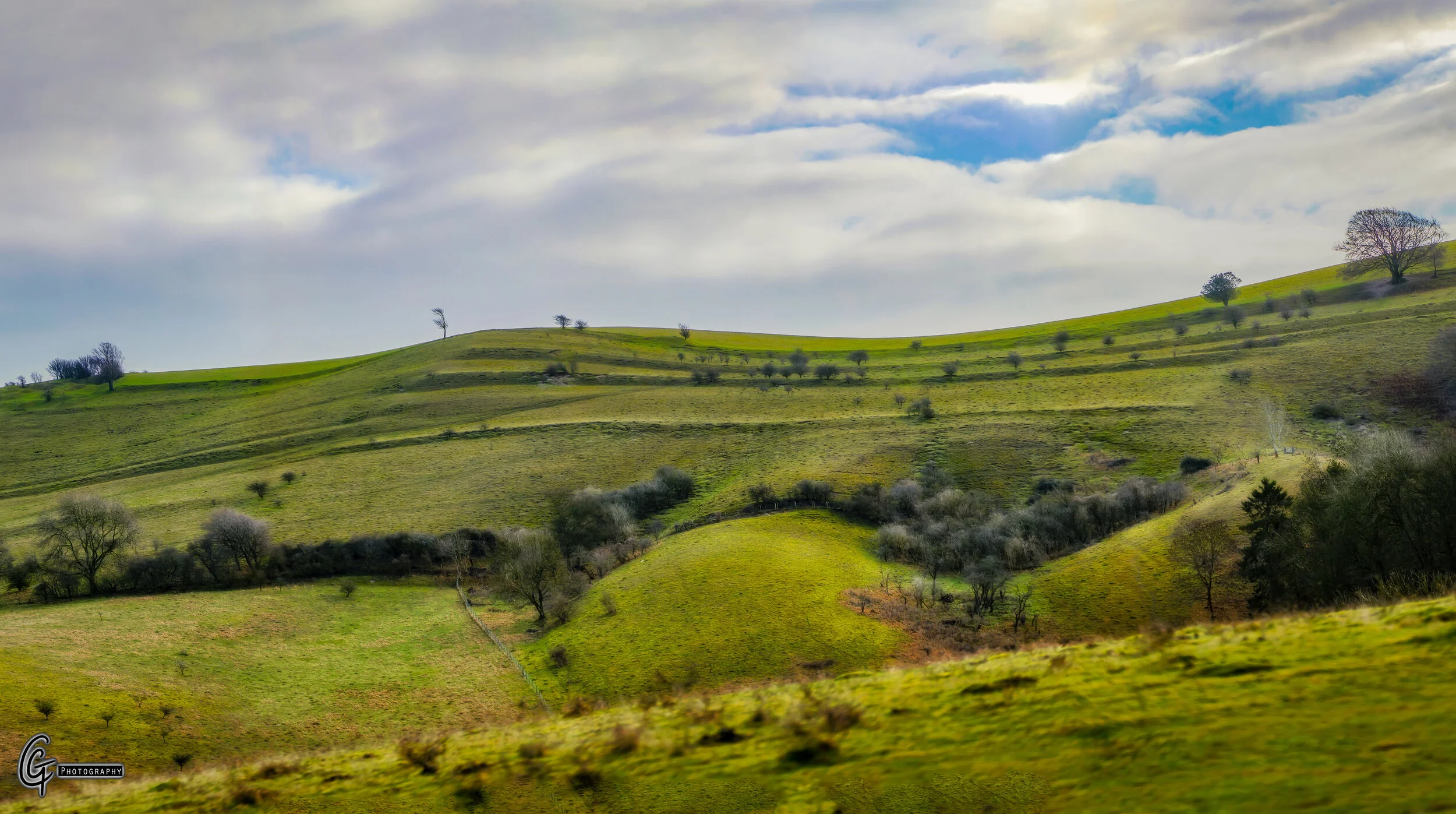Panorama1.jpg