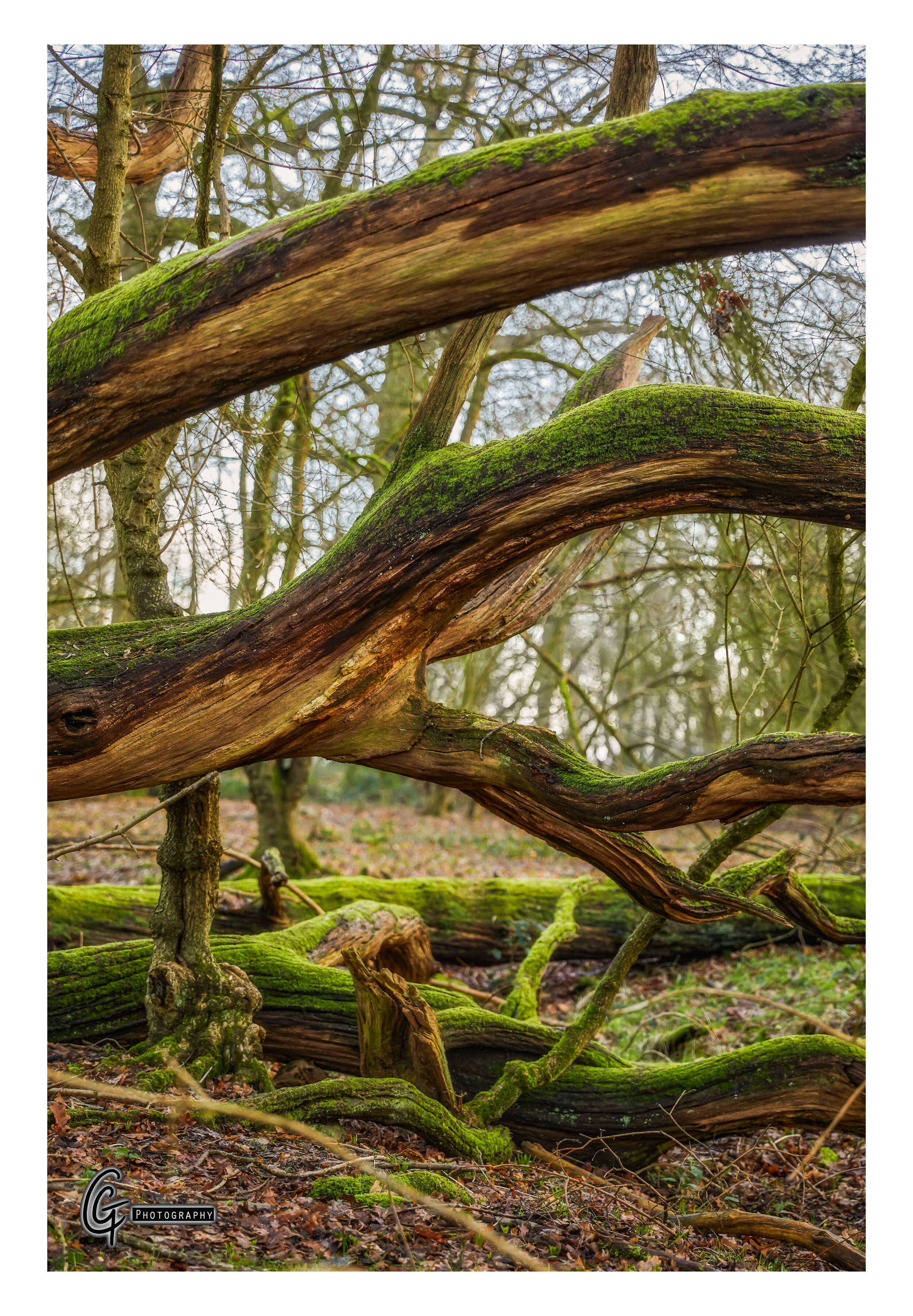2E5A3959.jpg