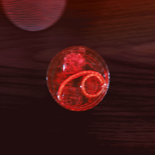 CAMPARI_ANTHEM_BAR_GIF_1X1-LORESFORPRES.gif