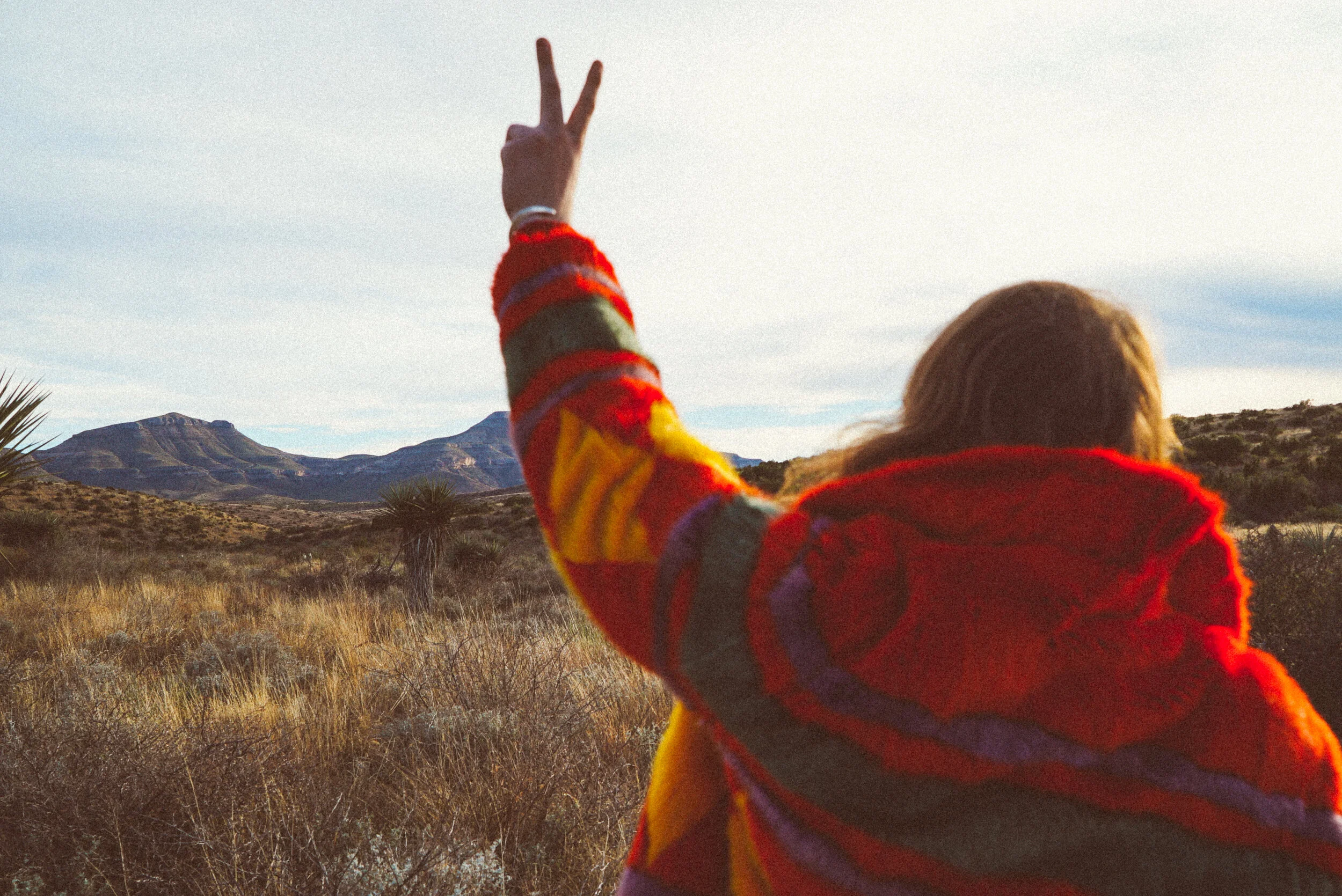 MBSC Protest Compilation: Open for Submissions