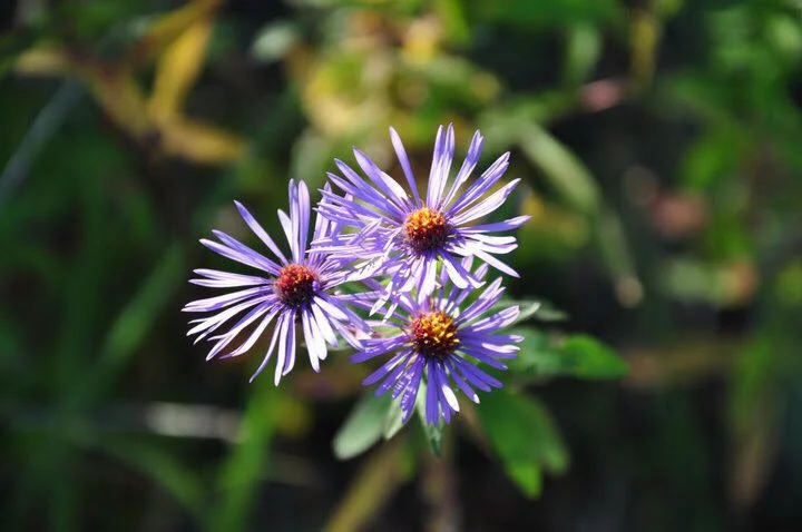 "Simplicity" photo credit: Jane Cheung