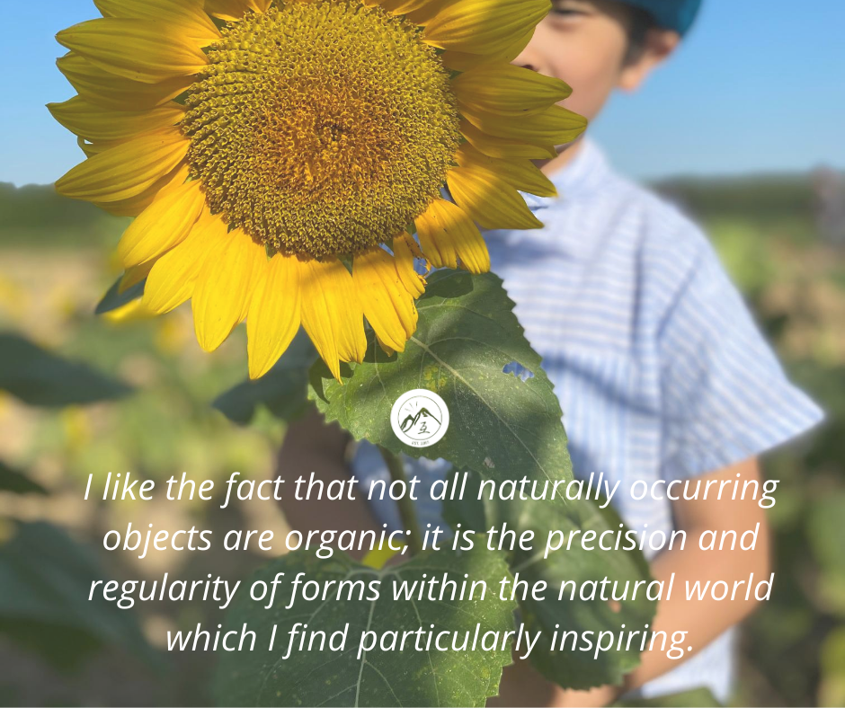 Sunflowers, lasting happiness 😊😊😊