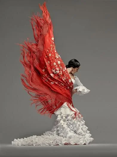 flamenco.jpg