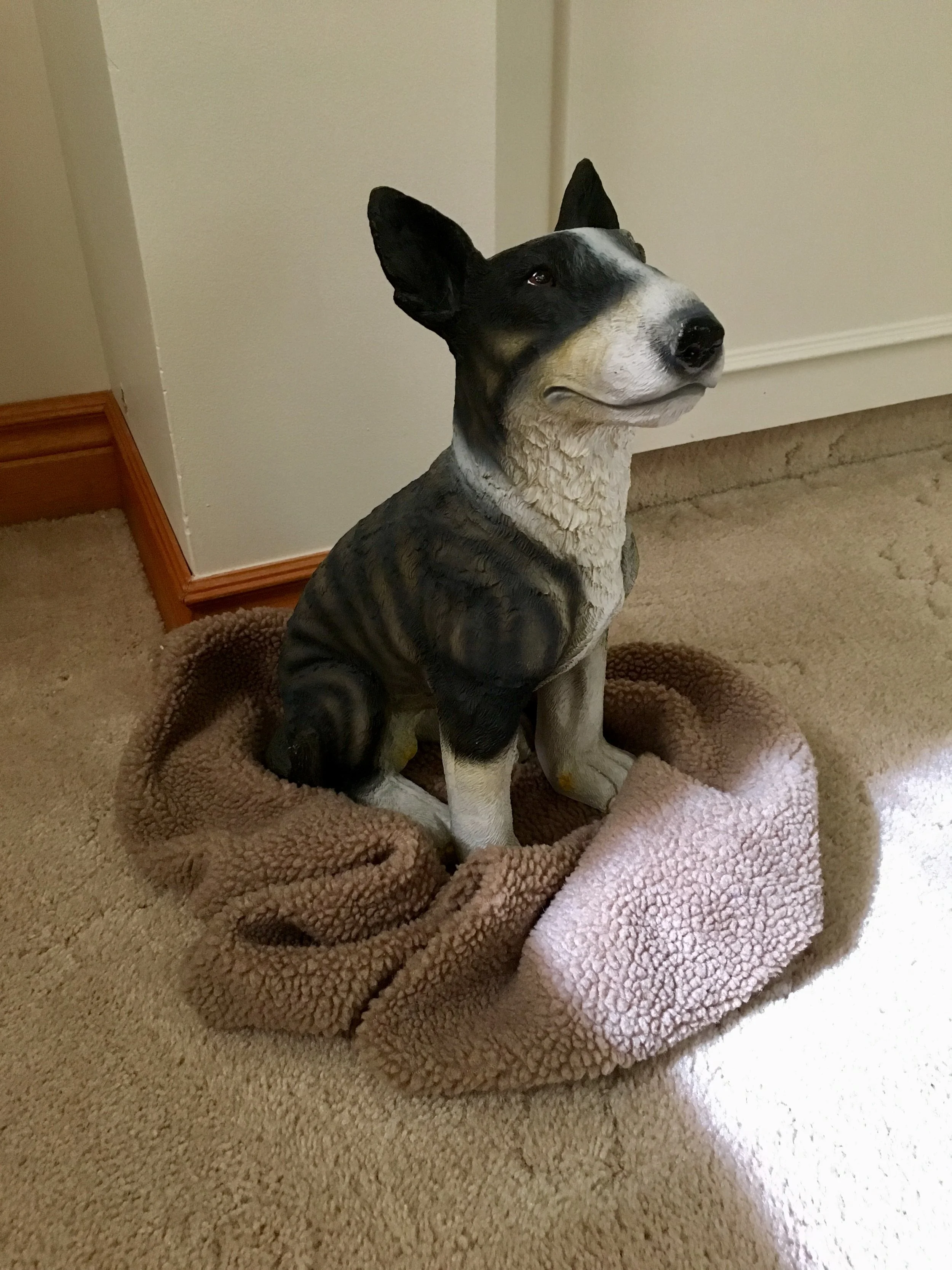 Wally is NOT a real dog. We found him in the garden centre at Walmart. He resembles the bull terrier we once had, and like a statue, his role is simple; greet anyone who comes to the front door.