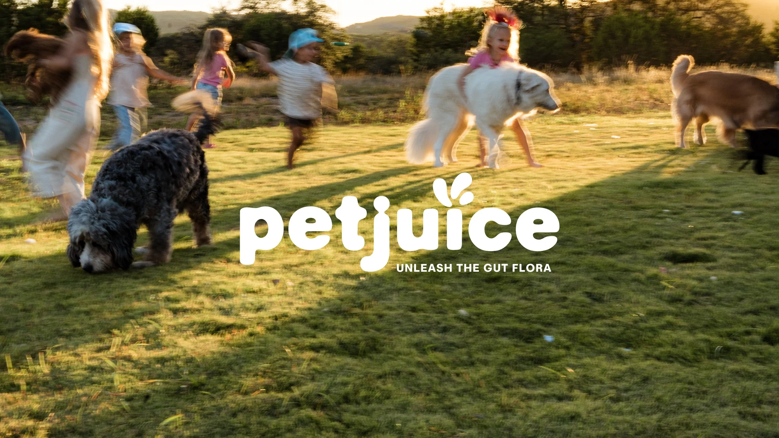 Pet Juice