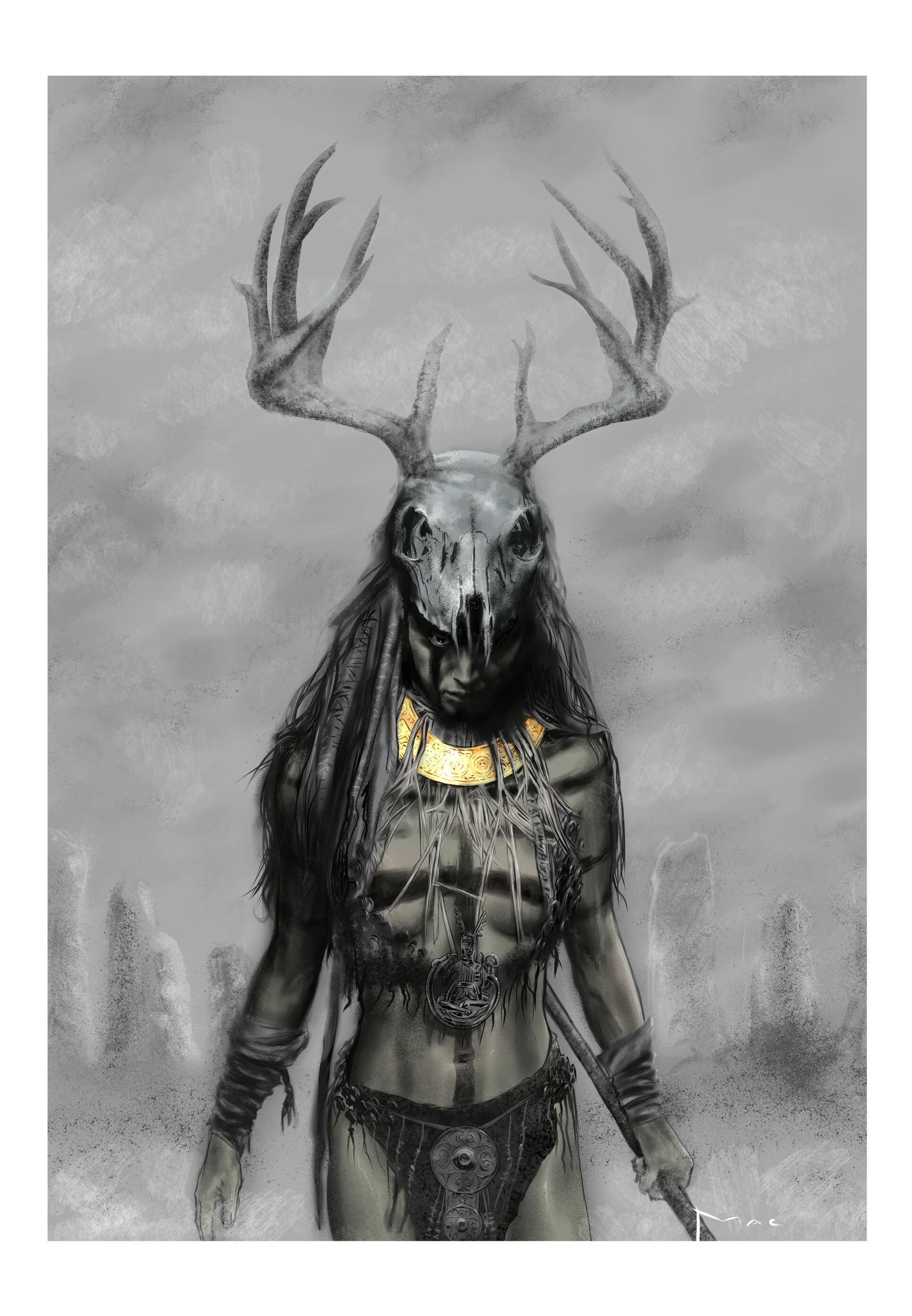 SHAMANcolours.jpg