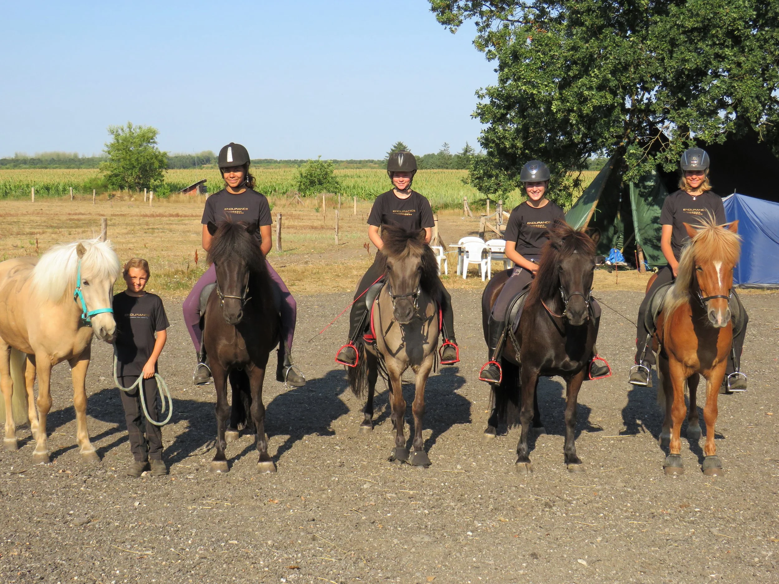 Ridelejr 2019 - Tilmeldingen er i fuld gang!