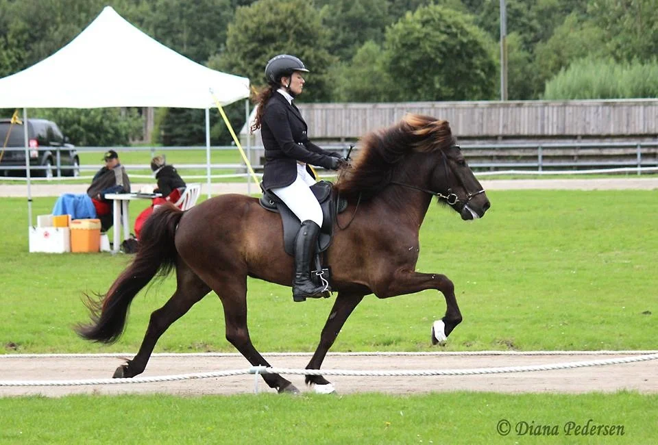 Vi mangler salgsheste