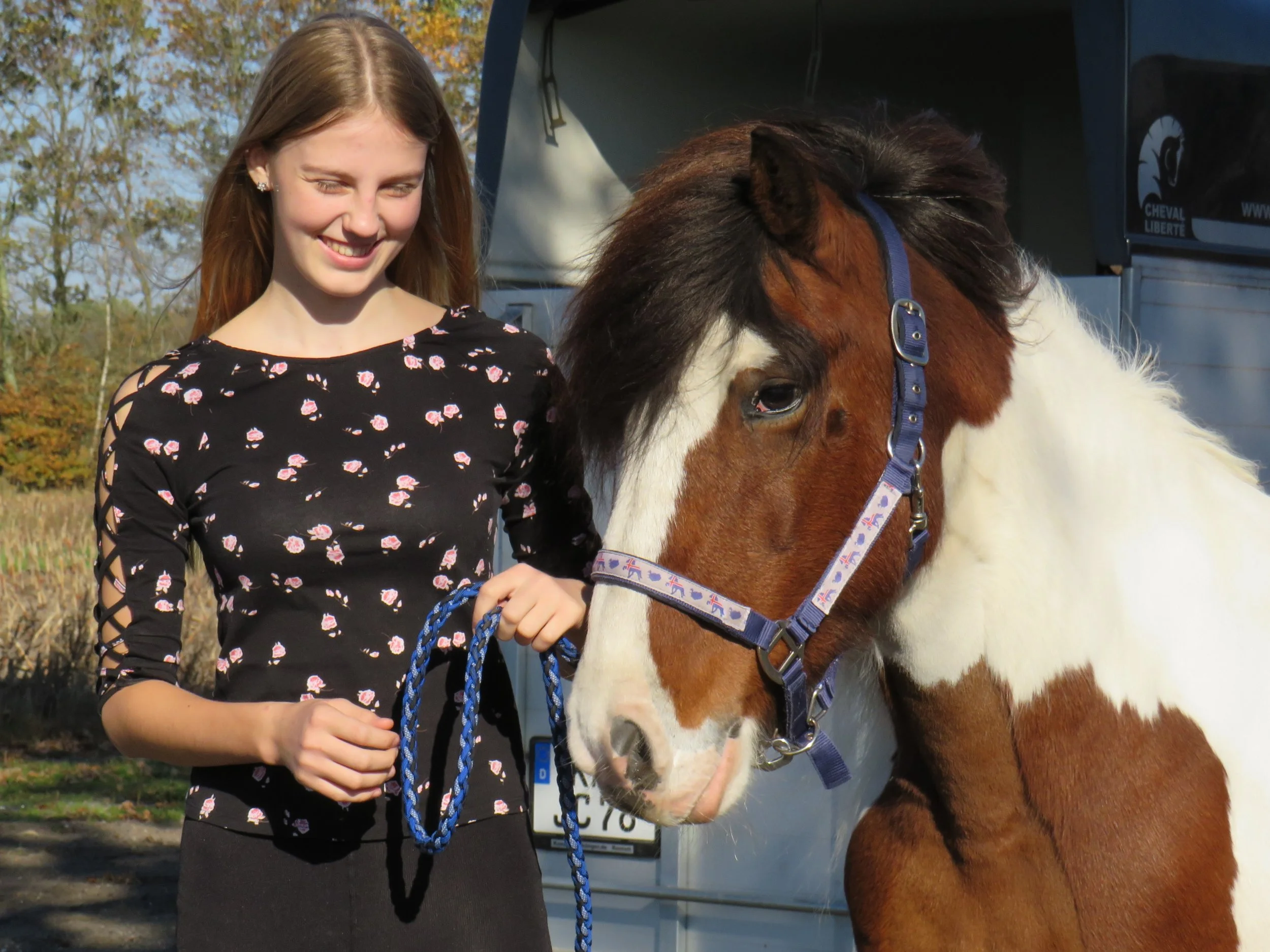 Efteråret hos Bøgelund Heste er fyldt med travlhed og hjertevarme