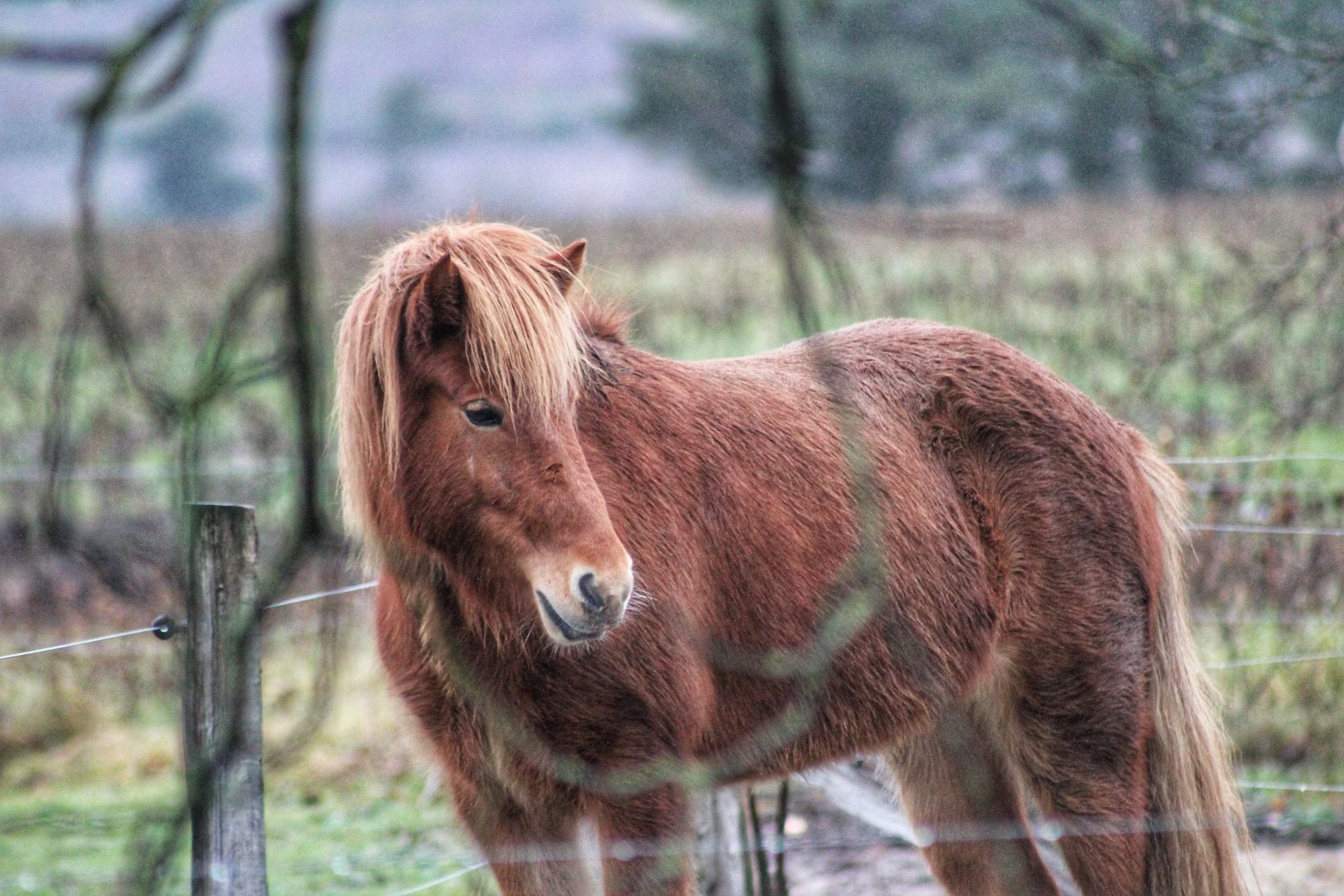 GLÆDELIG JUL OG RIGTIG GODT NYTÅR 