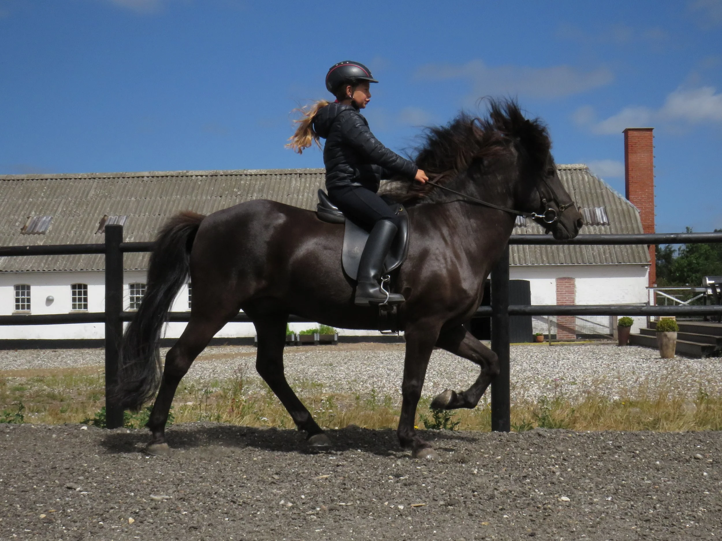 Ridelejr i uge 27 - Du kan nå det endnu!